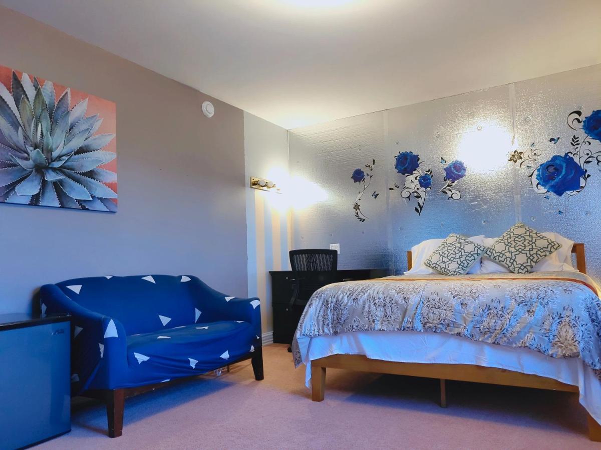 酣息小栈 Sweet Dreams Cornwall Exterior photo